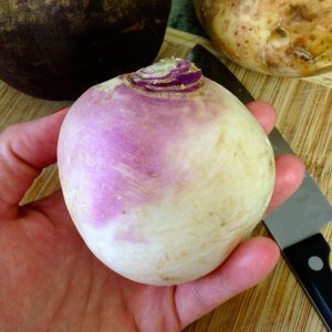 turnip-for-soup