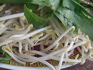 bean-sprouts-garnish-plate